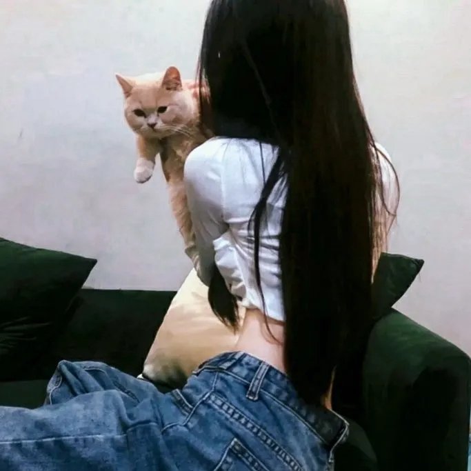 孤岛终结
